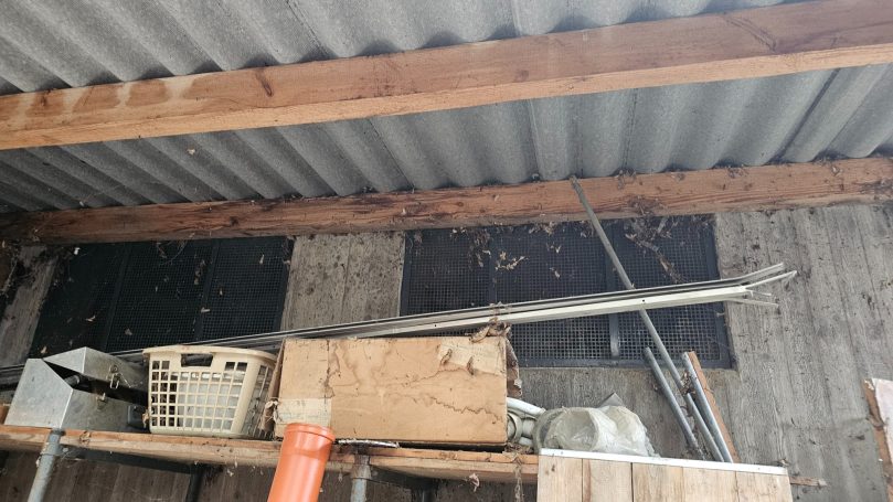 Lüftungskanal / Eternitdach